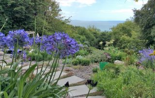 Plants flowers border gravel