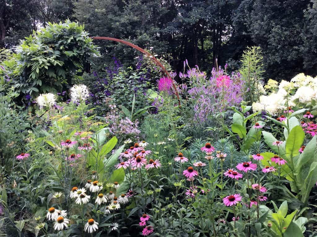 Border planting