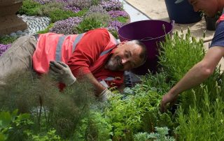 Chelsea Flower Show David Hurrion Jekka McVicar