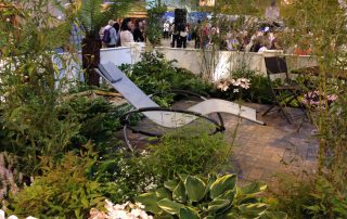 Plants patio paving small spaces