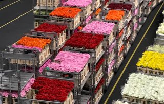 Aalsmeer flower market Holland