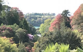 garden Trebah valley view