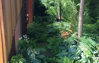 Plants show garden Chelsea Adam Frost David Hurrion