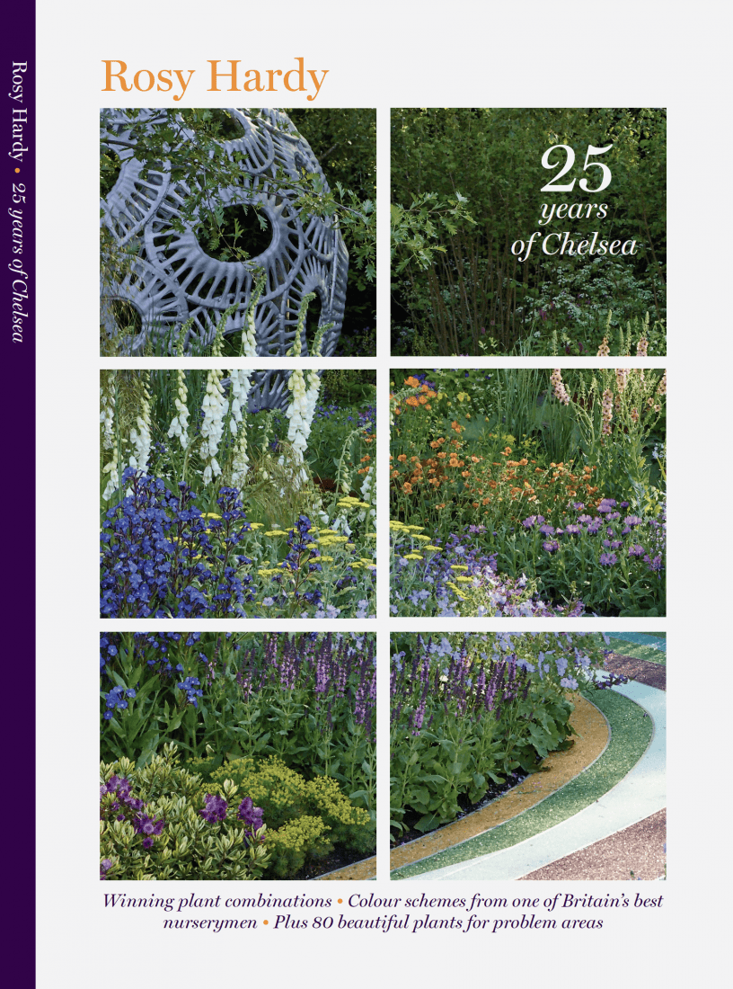 Rosy Hardy 25 years of Chelsea book