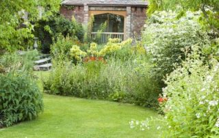 Garden border plants view Stockton Bury