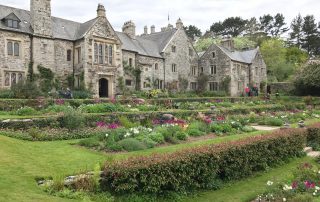 Garden and house Cotehele Cornwall tulips