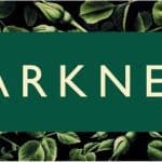 Harkness Roses