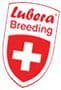 Lubera