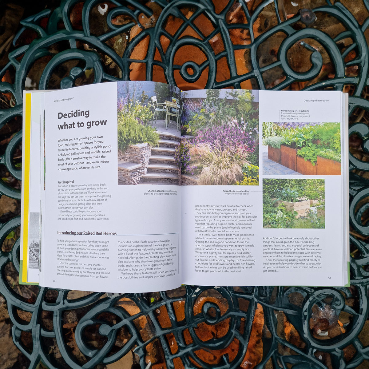 The Raised Bed Book - What Could You Grow?