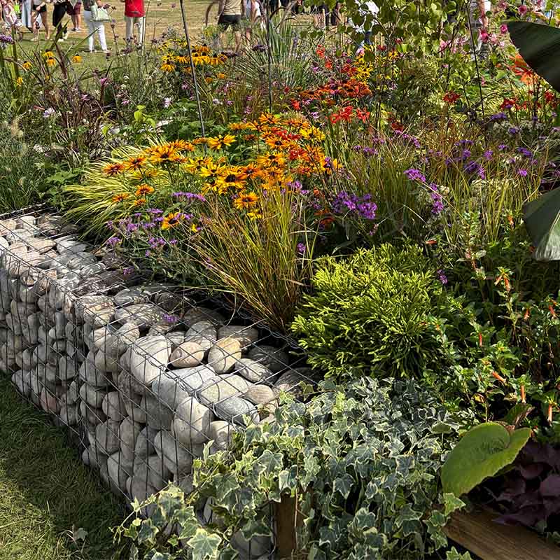 TRBRGabionWallLateColourPlanting