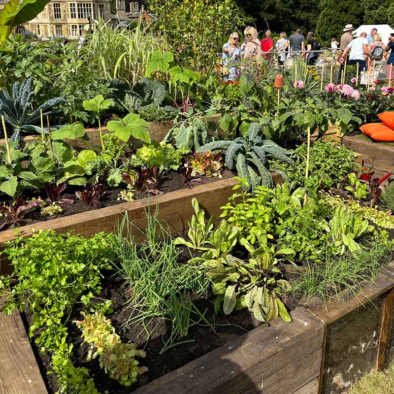 TRBRTieredVegBeds